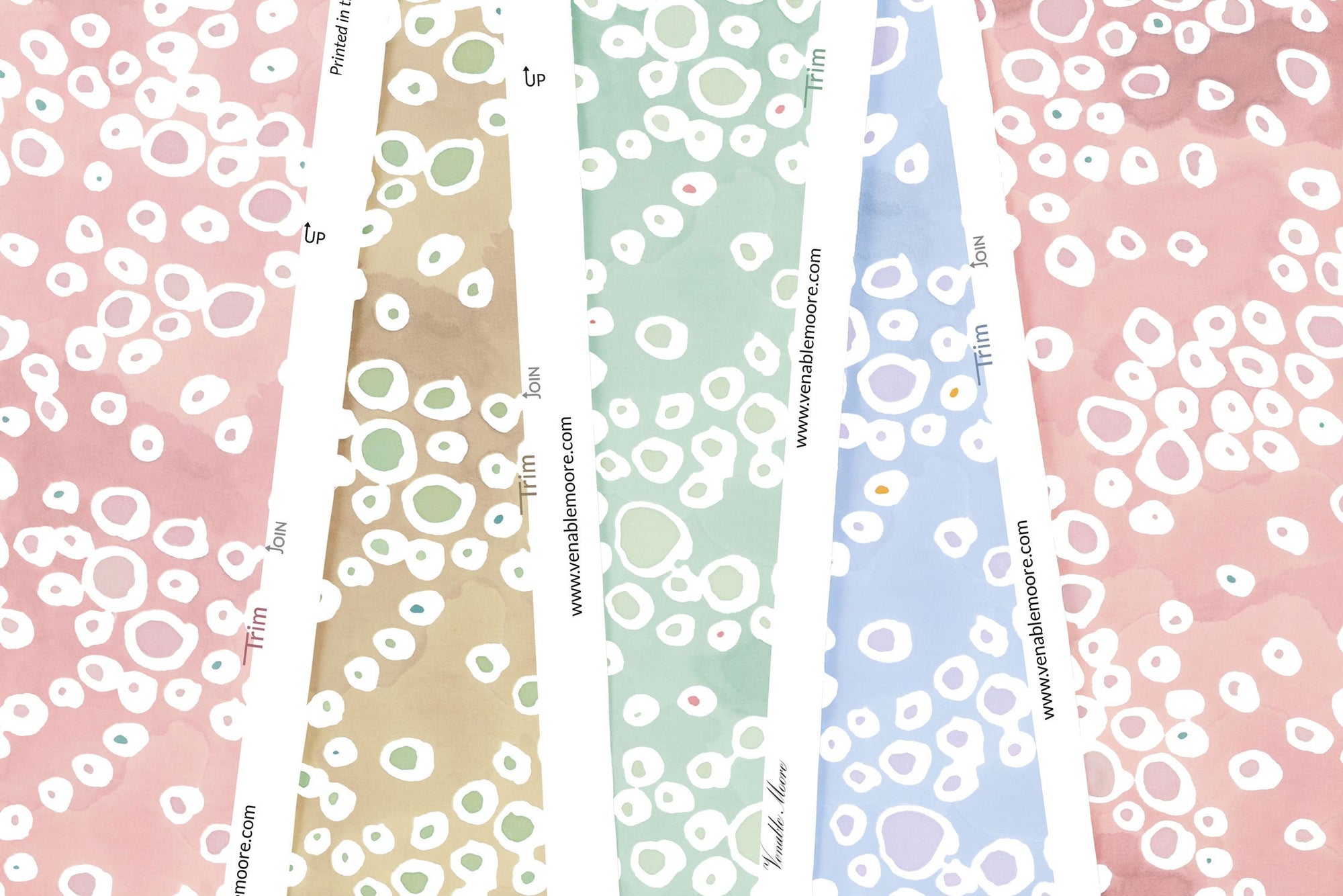 Frizzante dotted wallpaper by Venable Moore in madder, buff, verdigris, and ice