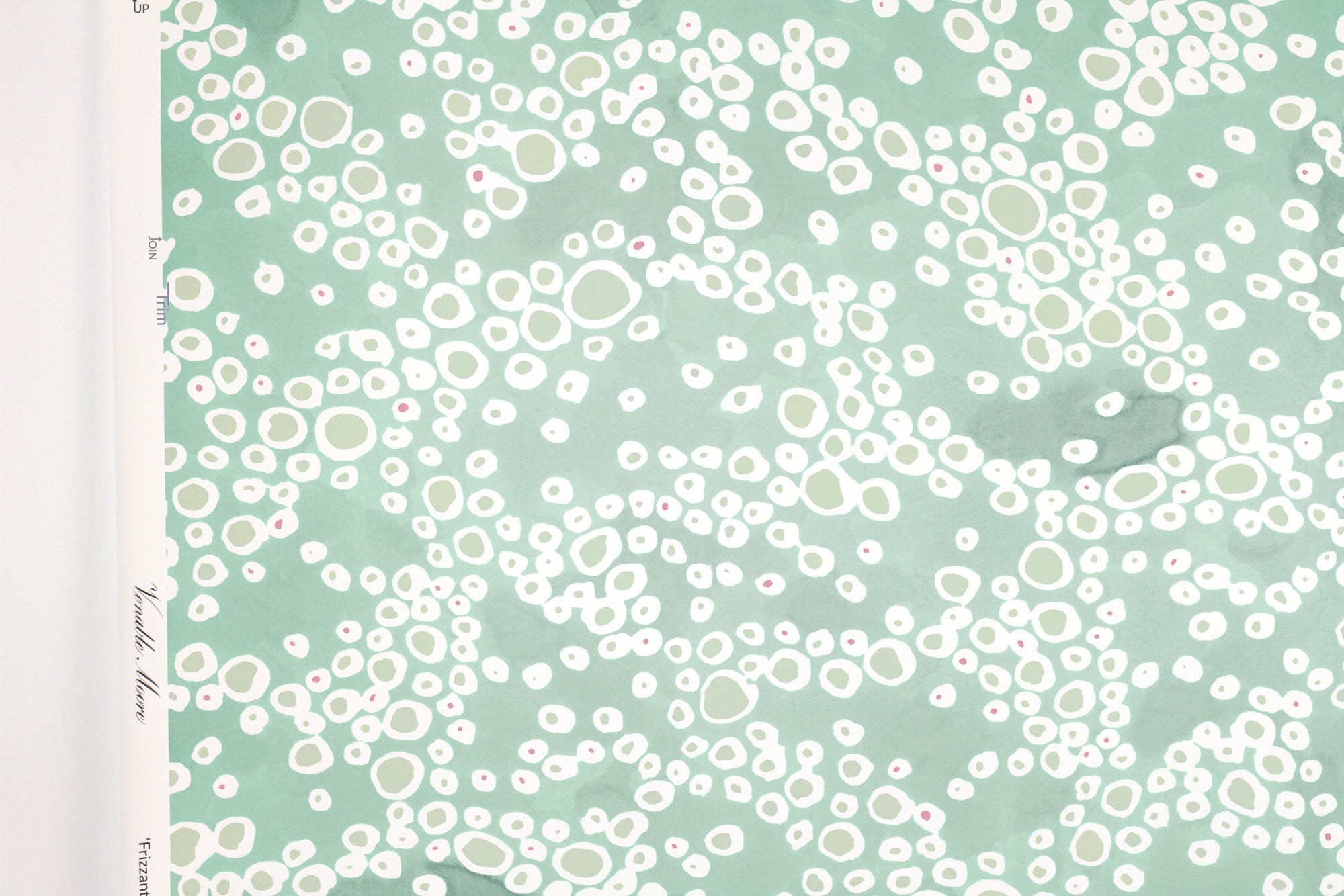 Up close view of Venable Moore ‘Frizzante’ Pastel verdigris green FSC Certified Clay Coated wallpaper roll against a white wall