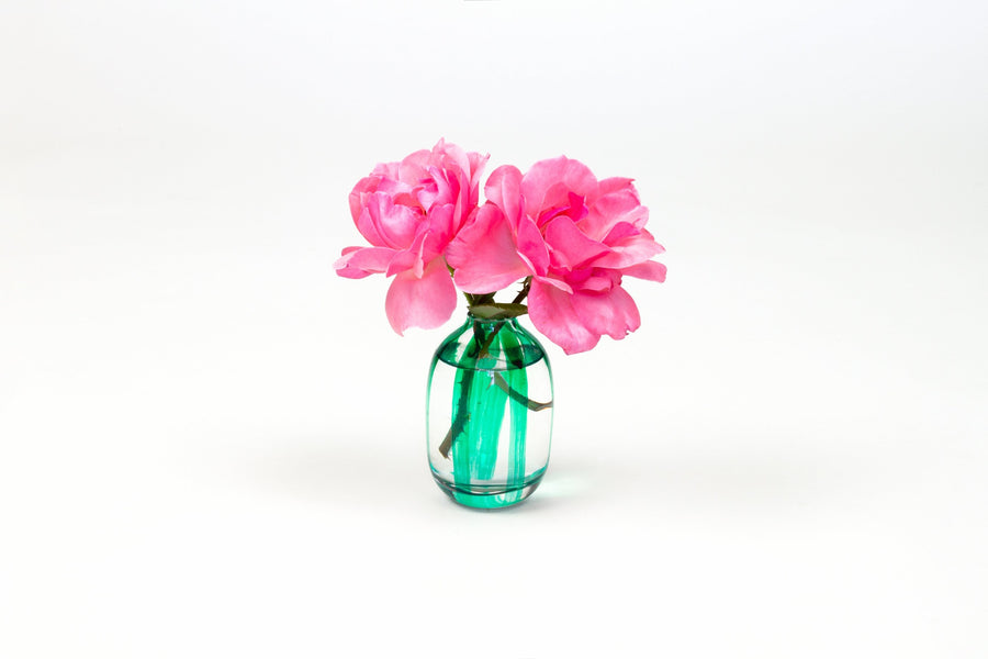 Hand-painted striped glass bud vase in shamrock green with two pink garden roses