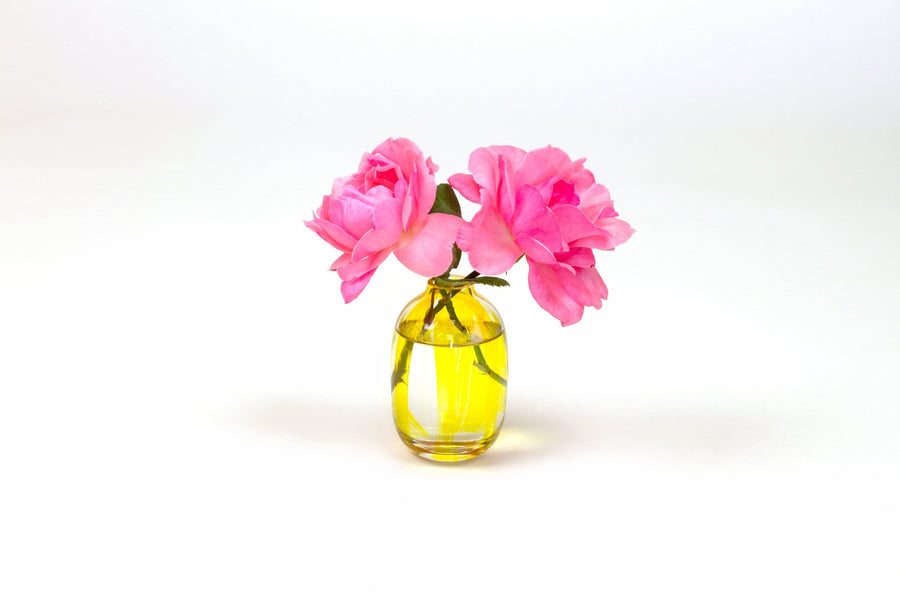 Hand-painted striped glass bud vase in sun yellow with two pink garden roses