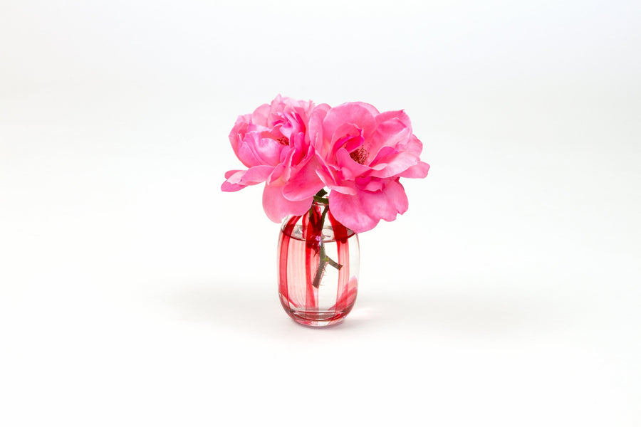 Hand-painted striped glass bud vase in tomato red with two pink garden roses
